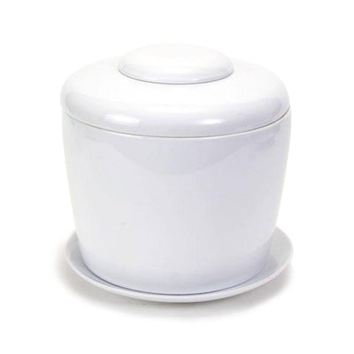 The Living Urn Indoors / Patio - Lotus