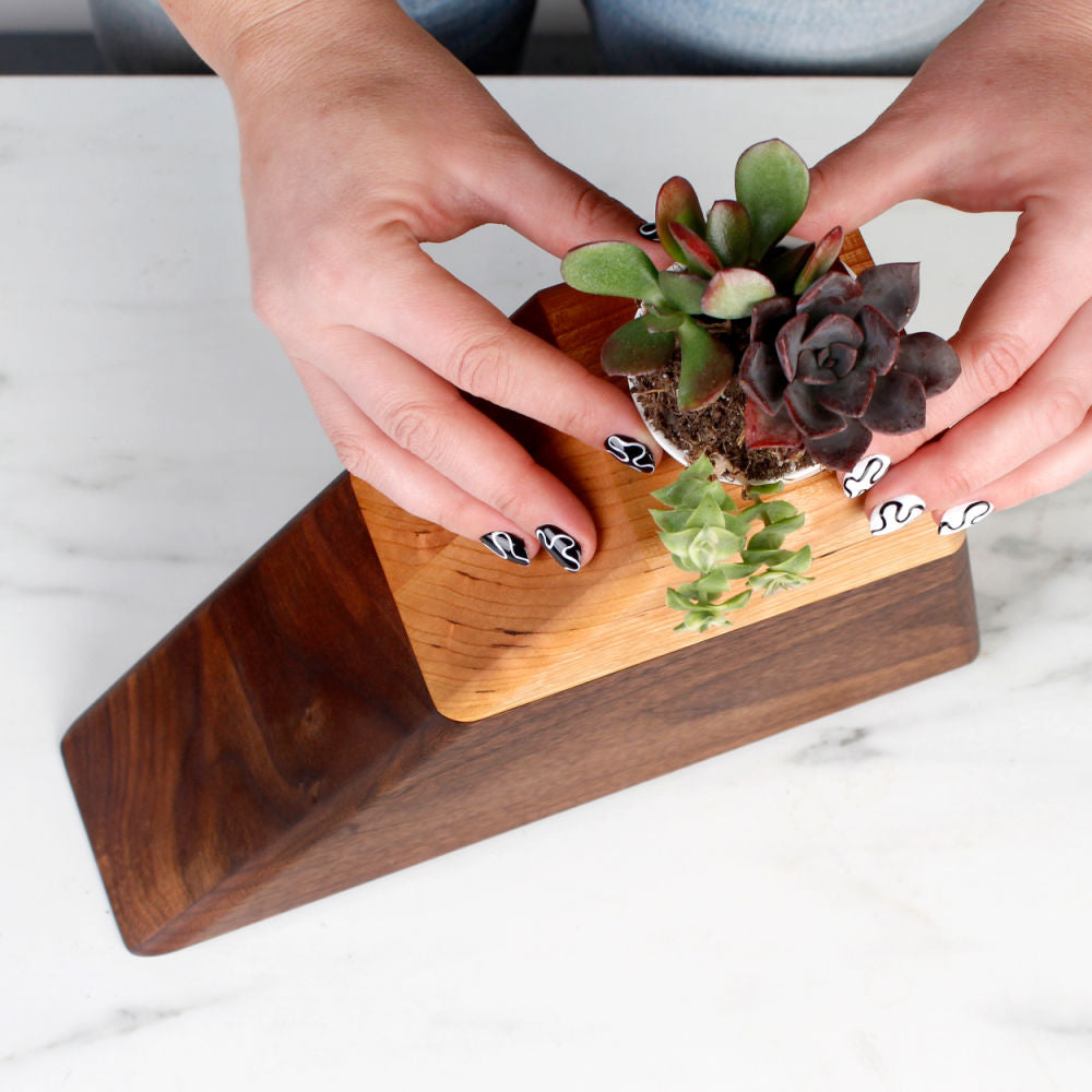 The Living Urn Planter™ - Be a Tree Cremation