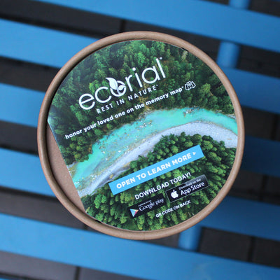 Field of Flowers Scattering - Heaven Bound