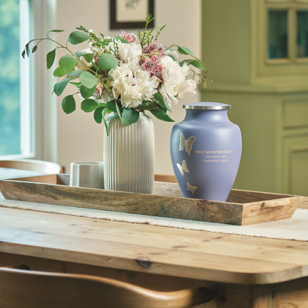 Butterfly (Aria Series) - A Better Place