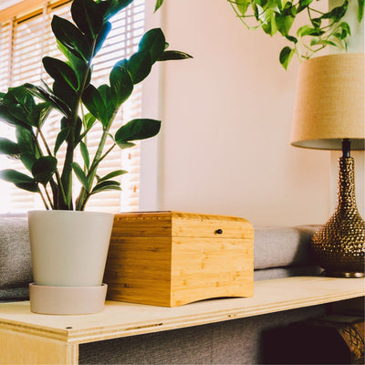 EcoHome™ - Be a Tree Cremation